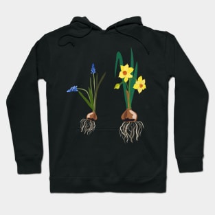 Spring flowers daffodils and muscari Hoodie